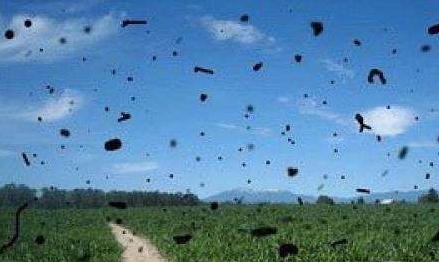 眼科飞蚊症的治疗方法,中医眼科飞蚊症的治疗