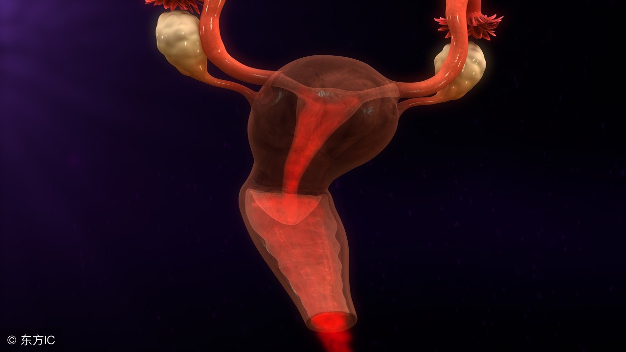 宫颈糜烂出血和宫颈癌出血的区别,如何判断是宫颈出血还是月经出血