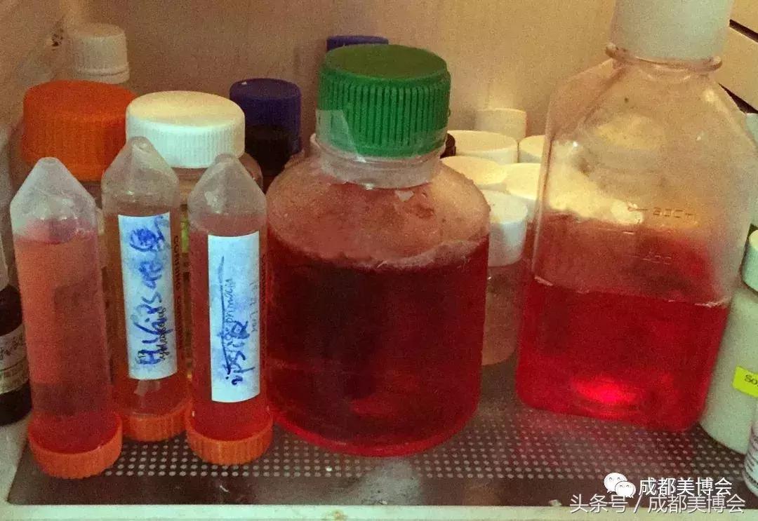 展商推荐丨宁斐——一家让科技改变美的企业