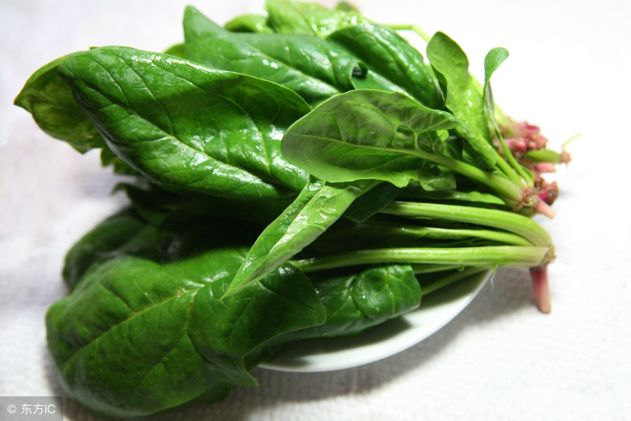 保胎吃什么食物最好食谱大全,保胎的孕妇吃什么美食