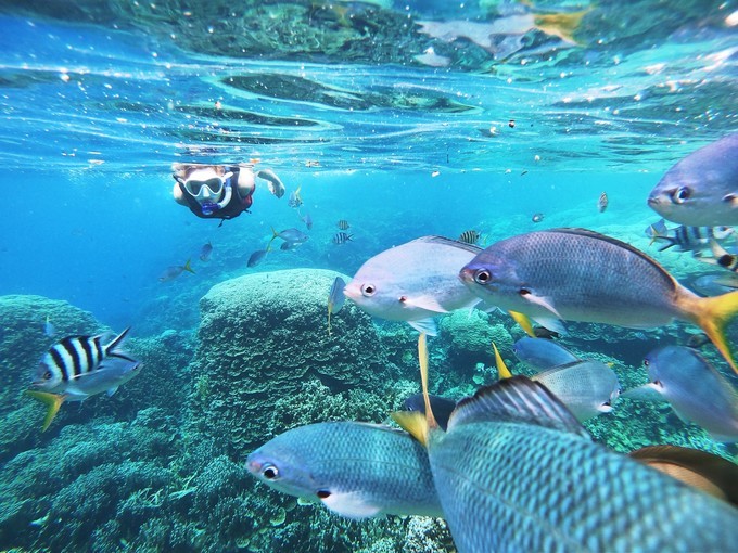 不需要做任何攻略就去的海岛国家!这样便可以玩转帕劳!