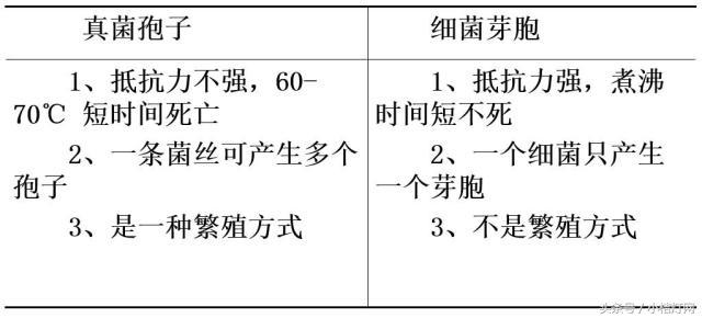 真菌微生物国标检测方法,微生物真菌检验