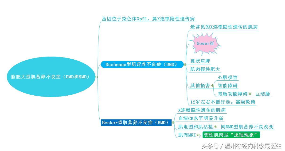 良性肌营养不良自愈的奇迹,进行性肌营养不良分型图表