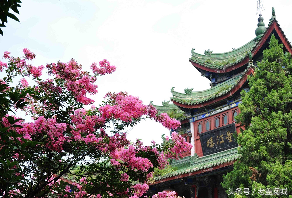 被成都遗忘的地方,成都九眼桥望江楼公园