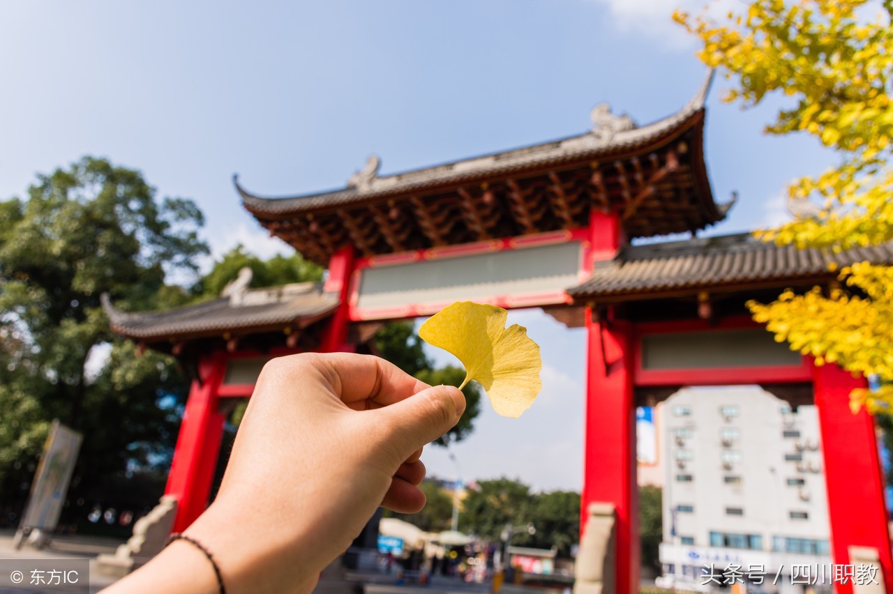 四川专科大学中最厉害的足球校队,川足崛起