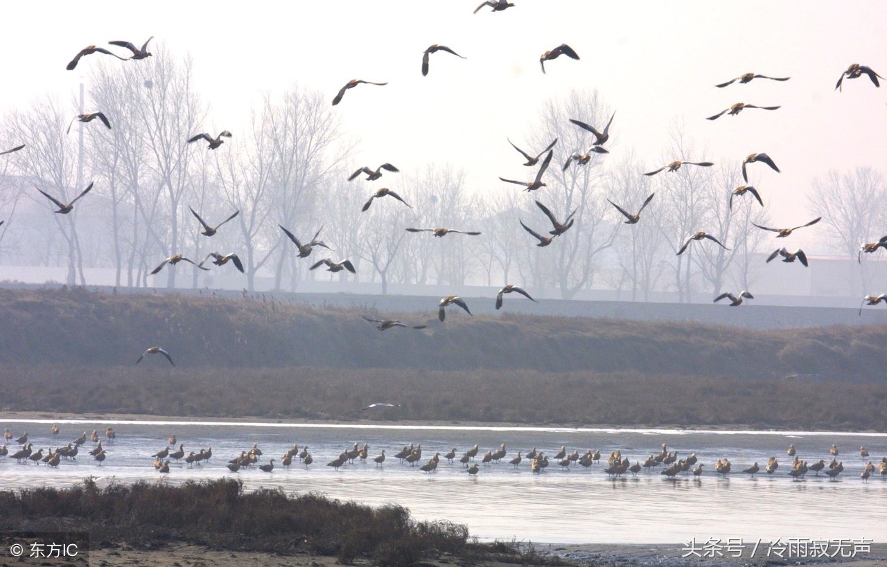 秦皇岛最详细攻略,秦皇岛攻略最全