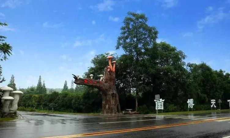 打牙祭成都,每周打牙祭