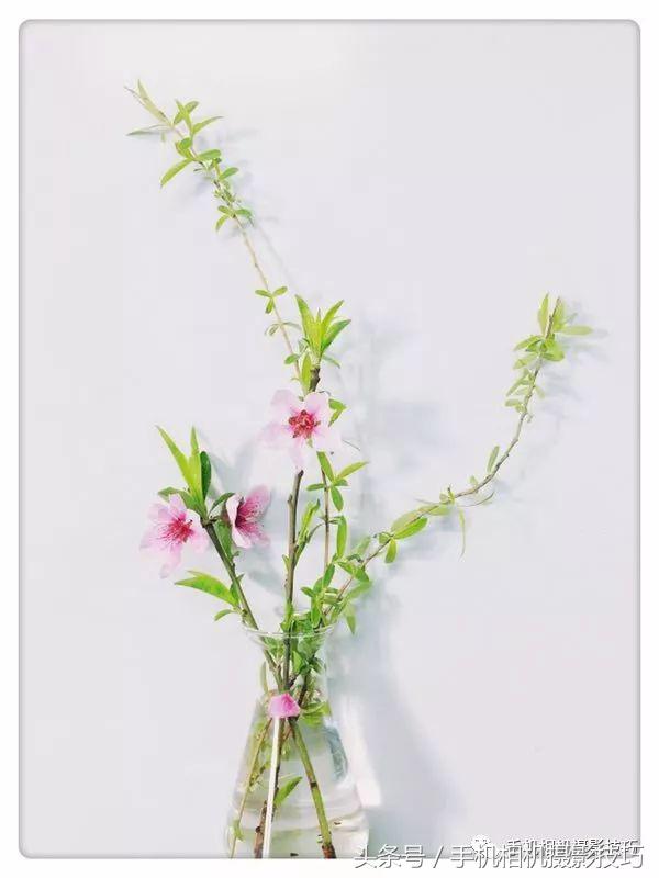 读者投稿点评，这些照片该如何改进？