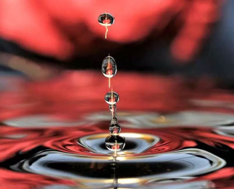 小升初英语复习全套零基础,六下小升初复习重点英语