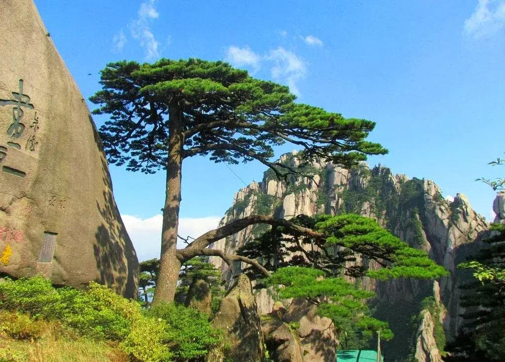 黄山的简历,作家黄山的简历