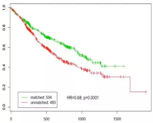 膀胱肿瘤的新疗法,最新治疗肿瘤的特效药