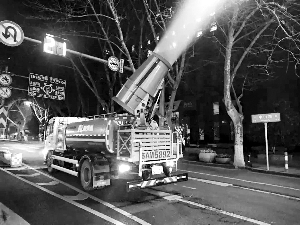 南京新版飘絮预报5个平台同步更新，58条道路有精准预报