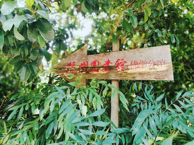 九溪虽小你却没用心体验过，别有一方风味