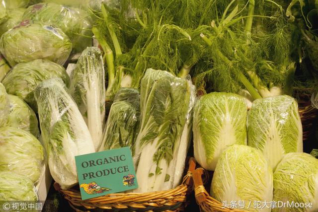 移民加拿大后连大白菜也吃不起了，后悔不？