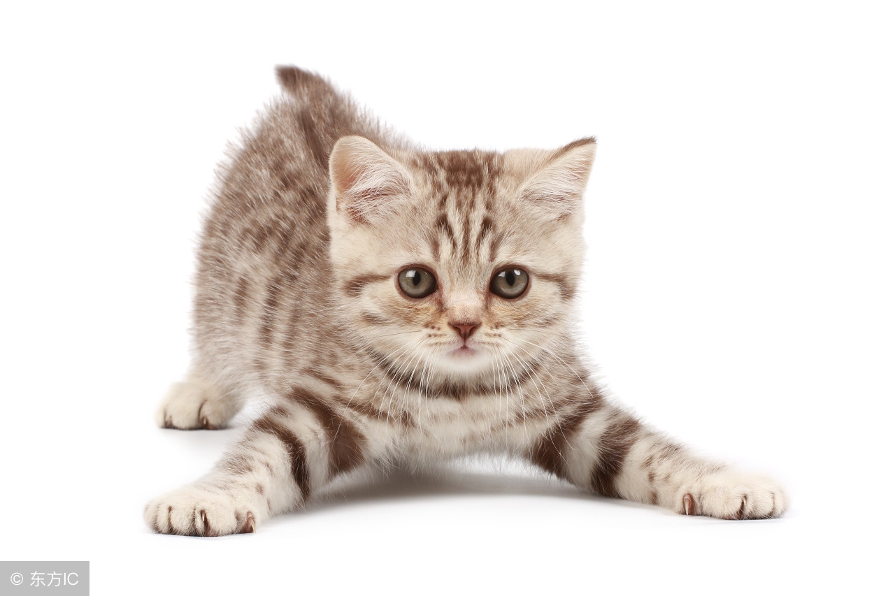 8种常见的恐惧症,四种奇怪的恐惧症