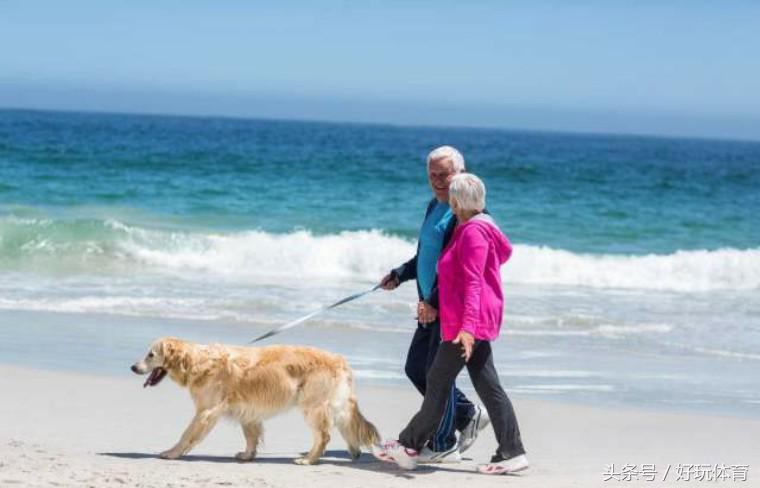 武汉海昌极地杯2018DOGRUN乐跑武汉站来啦！汉马月，一起跑起来！