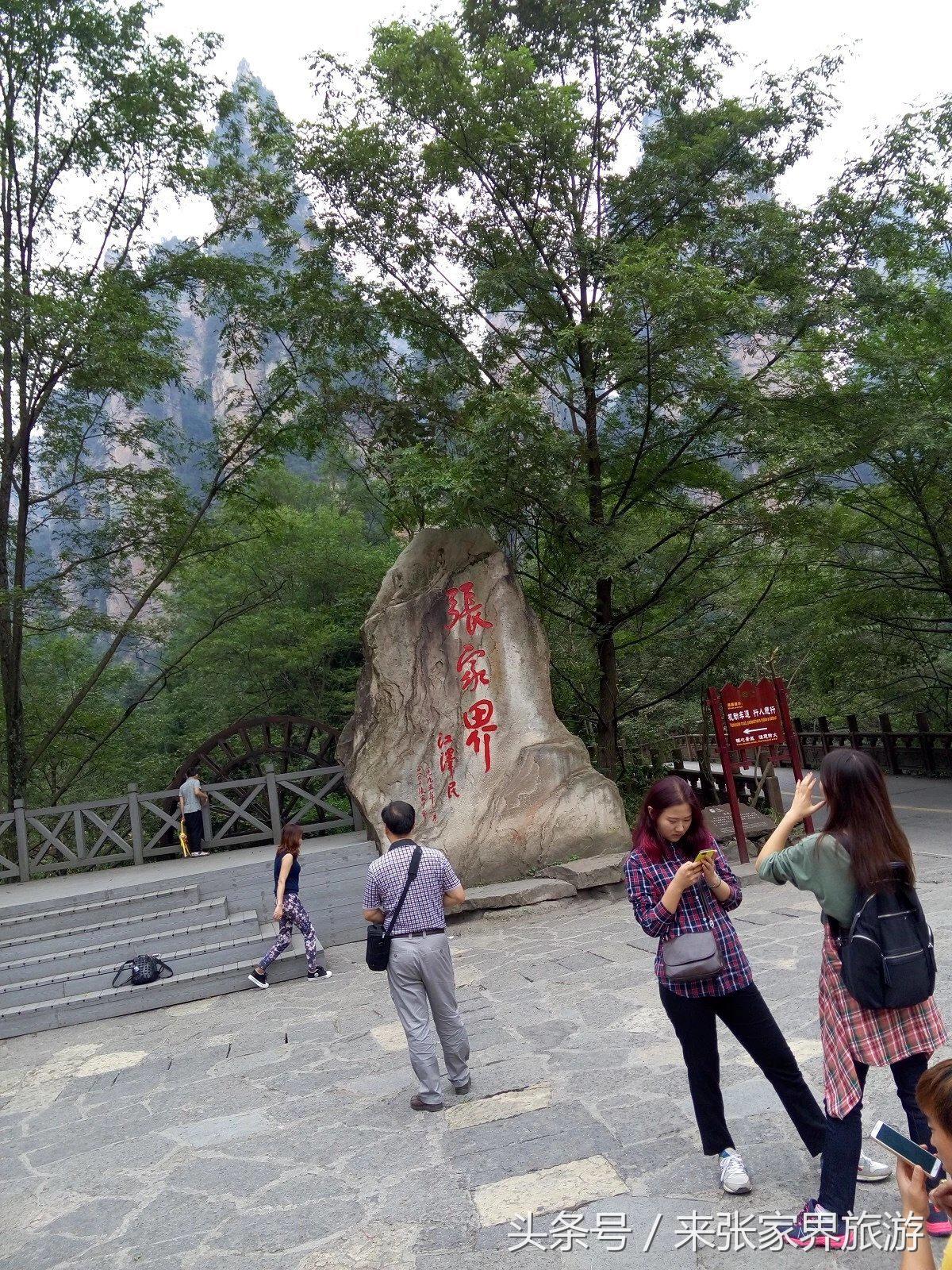 山东到张家界凤凰五日游攻略图文,佛山去张家界旅游攻略路线推荐图