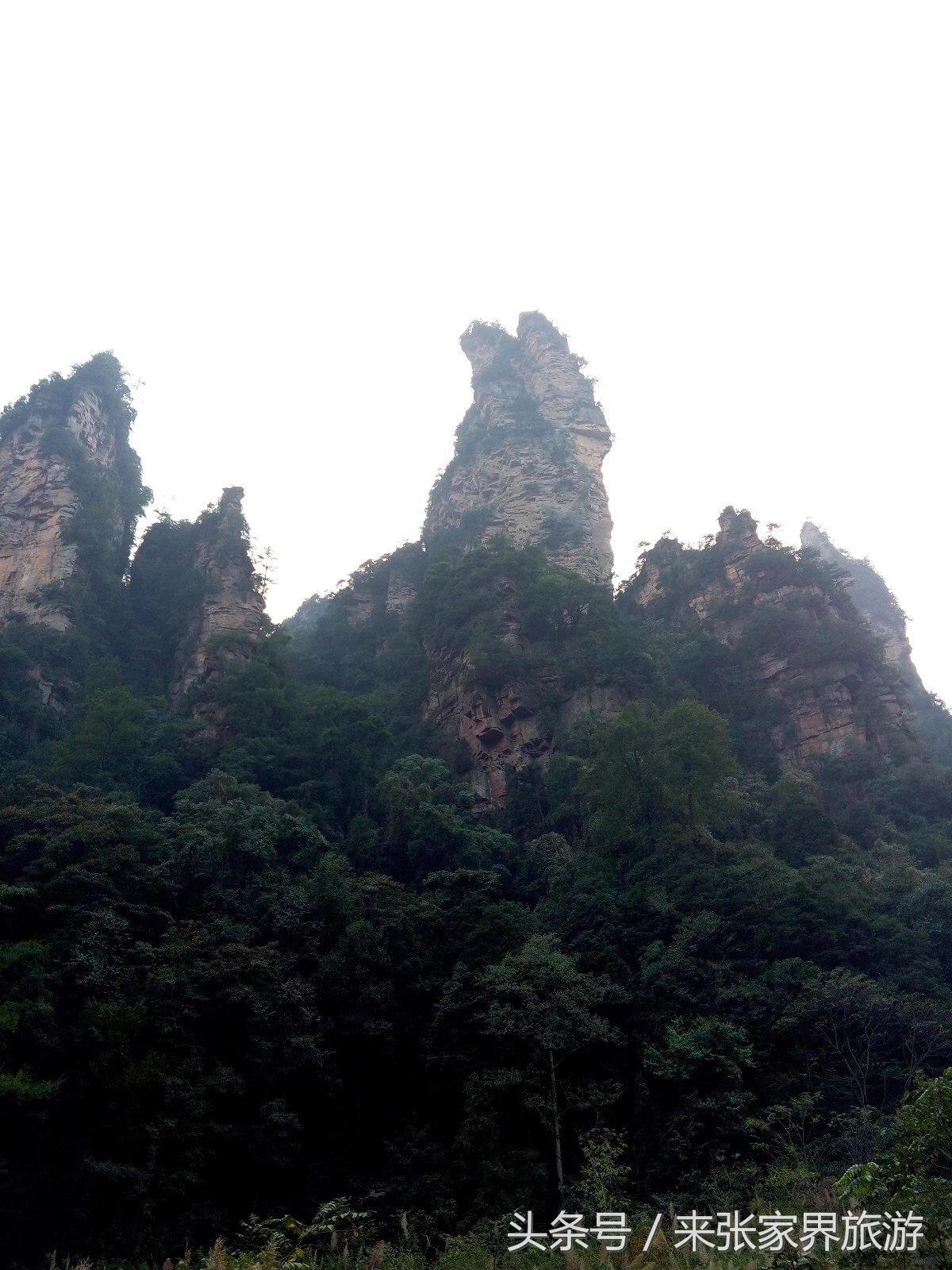 山东到张家界凤凰五日游攻略图文,佛山去张家界旅游攻略路线推荐图