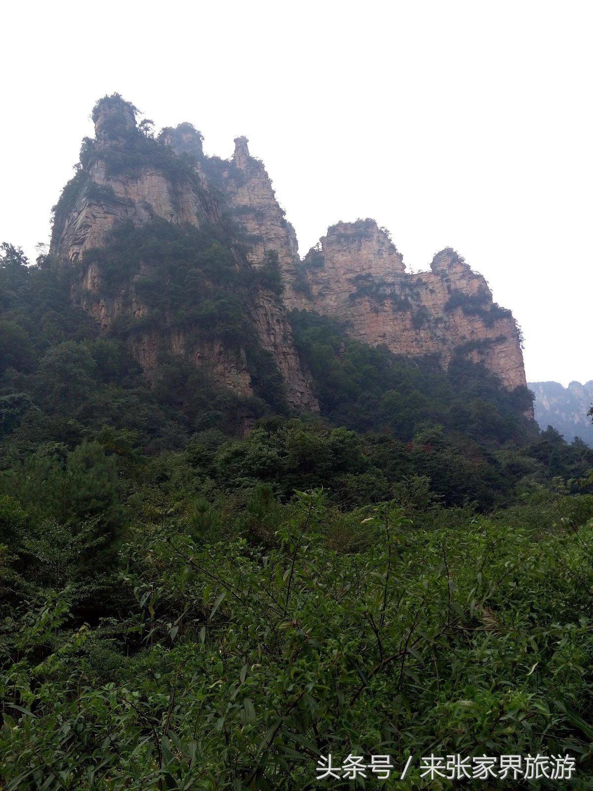 山东到张家界凤凰五日游攻略图文,佛山去张家界旅游攻略路线推荐图