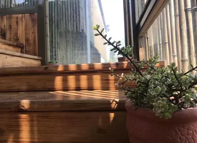 飞两千多公里,得到一座奇幻山林,一个温暖的家,一群有趣的人