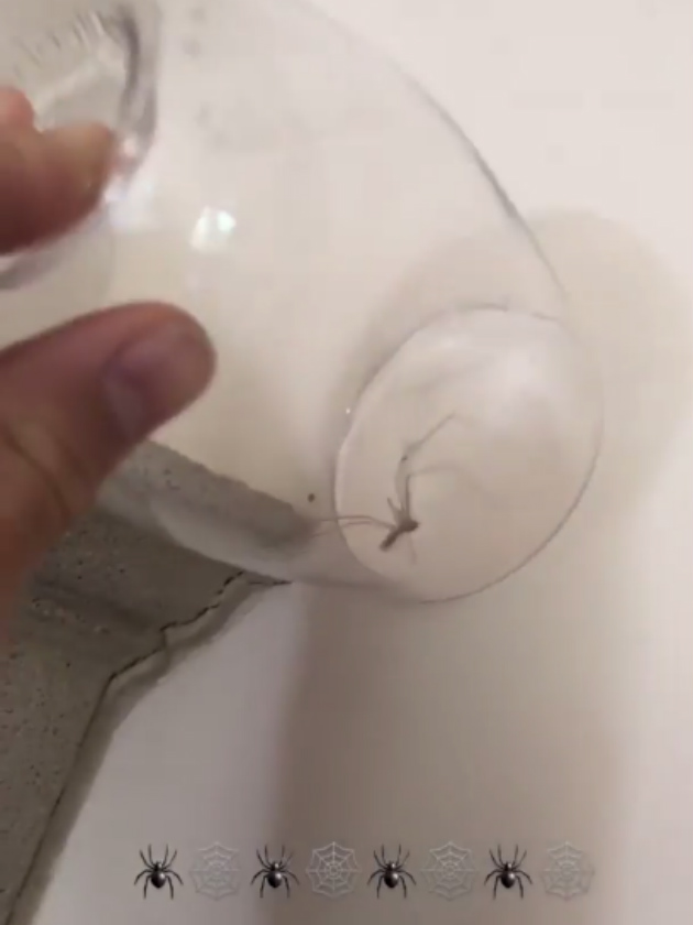 家中出现不速之客，小七和贝嫂吓的抱成一团，罗密欧尽显男人本色