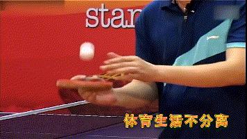 专业队乒乓手感球感训练,不要小瞧基本功