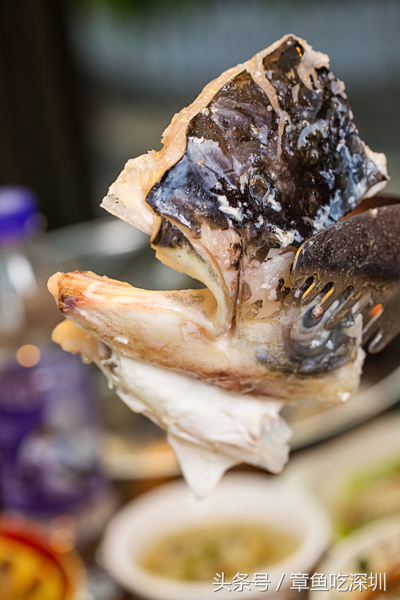 深圳福田潮汕鱼头王,深圳鱼头王湘菜馆