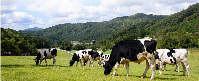 诊断贴，澳洲a*奶2**粉好不好？a*奶2**粉有什么特点？