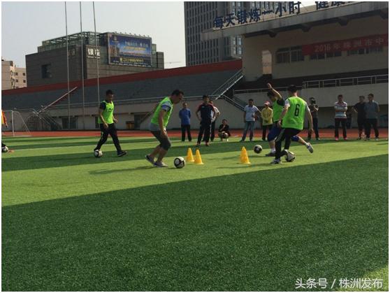 中小学教师教学基本功培训收获,湖南教师培训新模式