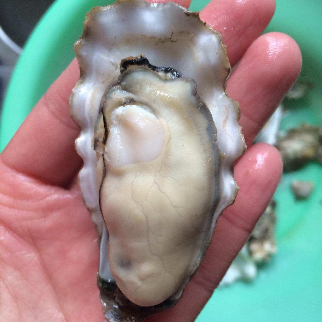 鬼眼怎么来的,鬼眼干啥用的