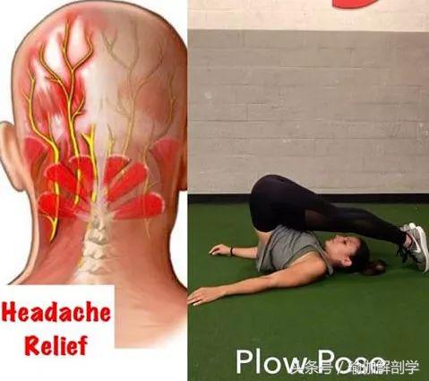 最新疼痛理疗视频,修复理疗瑜伽体式