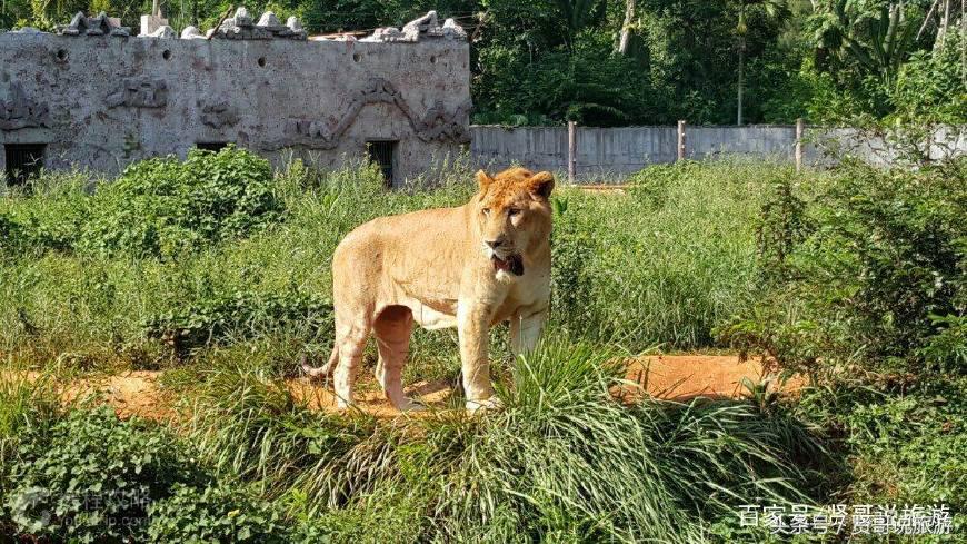 三亚海口旅游攻略必去景点,海口文昌旅游景点大全攻略