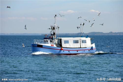 为妈妈打造的歌曲,为母亲创造奇迹