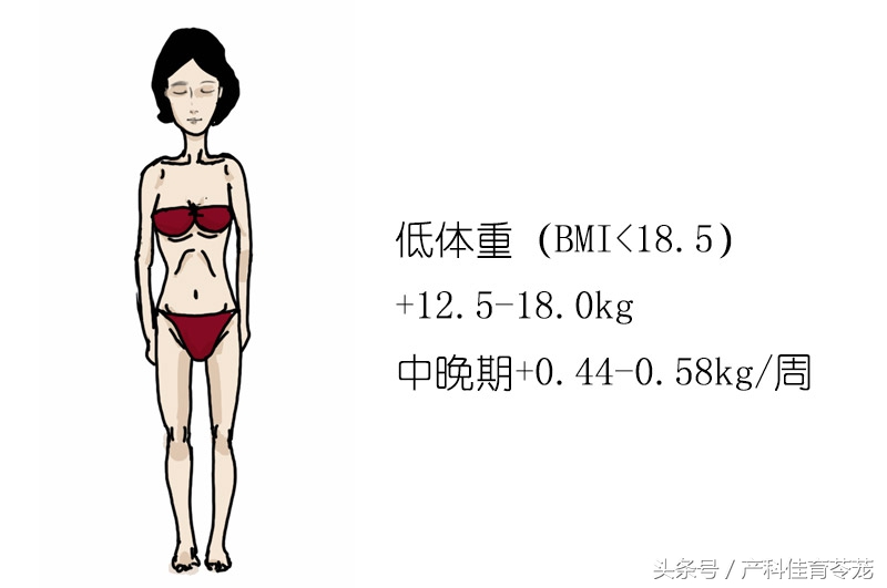 怀孕了吃什么不好,怀孕了吃什么不长胎