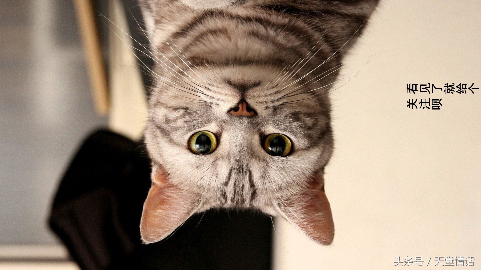 假如你爱上一个男人,假如你爱上了别人怎么办