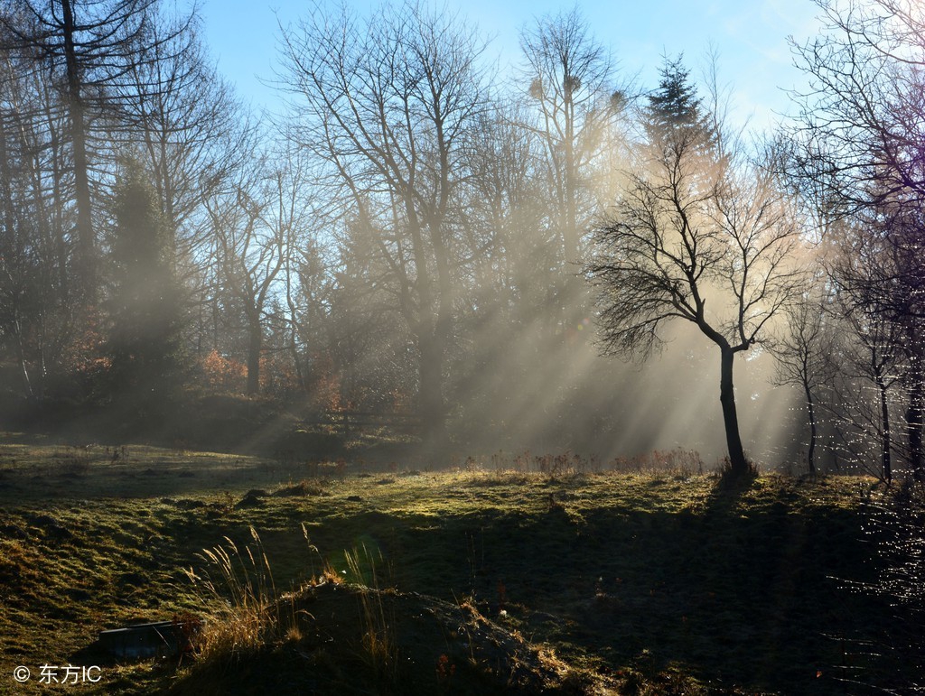 小学生必背成语500个及造句,小学语文必背成语及解析