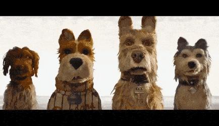 春夏钟楚曦脱单告急,钟楚曦脱单告急大结局