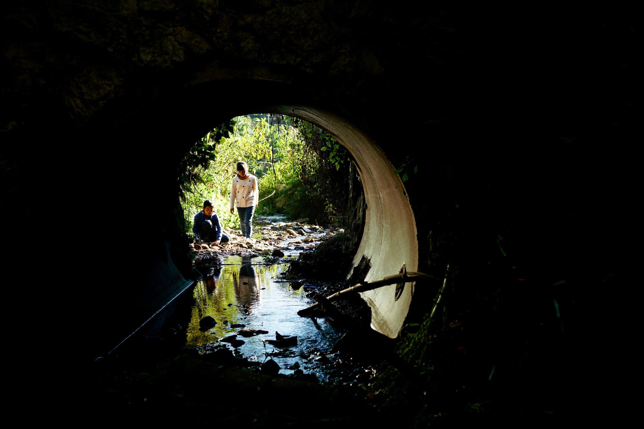 观影避雷针,观影避雷