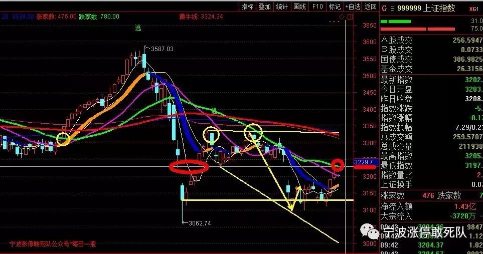 海南板块低价股,海南板块重仓股