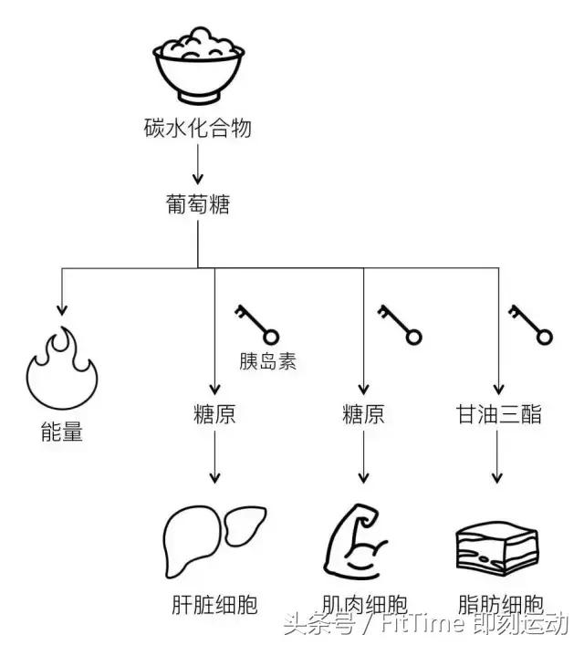 小肚腩瘦不下去怎么办,有肚腩怎么减掉小肚子呢图片