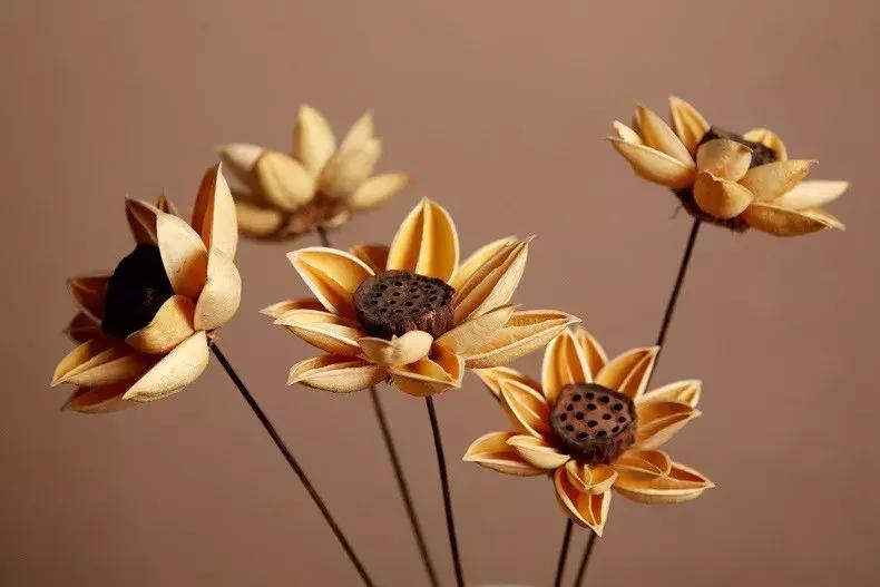 永生花制作方法视频直播,永生花插花制作方法