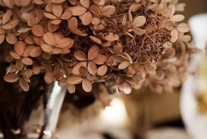 永生花插花制作方法,永生花制作教程520