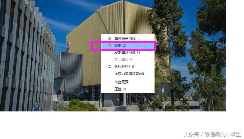 jpg格式的图片用什么查看器查看,jpg格式图片怎么在手机上查看