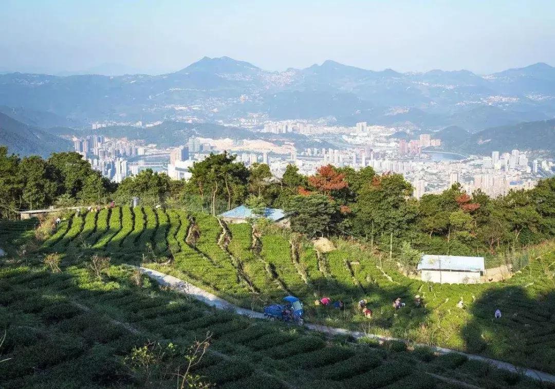 农业服务创业商机,现在农业创业好项目好做吗