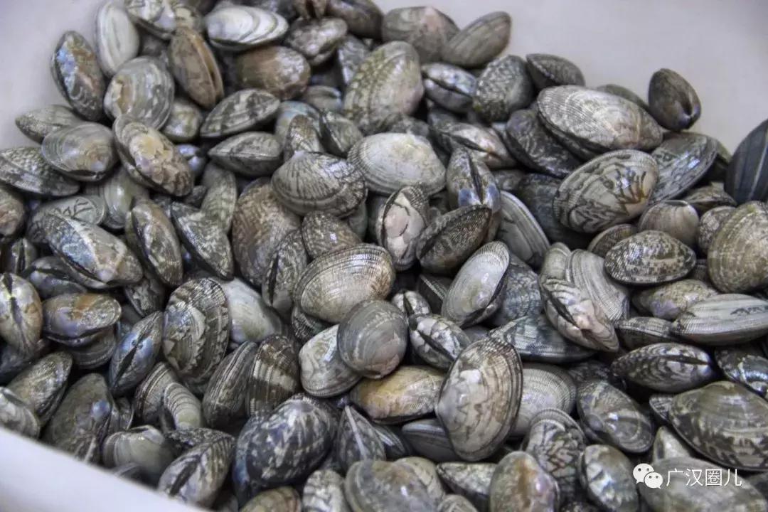 天下最牛门派“龙门”放大招!广汉龙门花甲搞大事了!