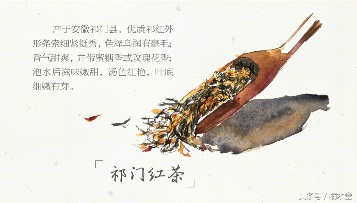 一张图读懂各种茶具,一张品茶实用图