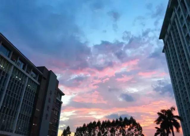 私立华联学院在全国的排名,私立华联学院是正规大学吗