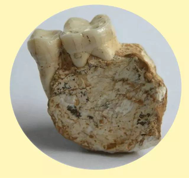 巫山巫峡风光,巫山风光