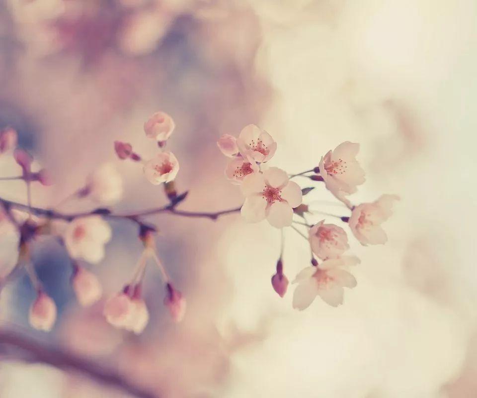 罗志渊：将“反三俗”坚持到底