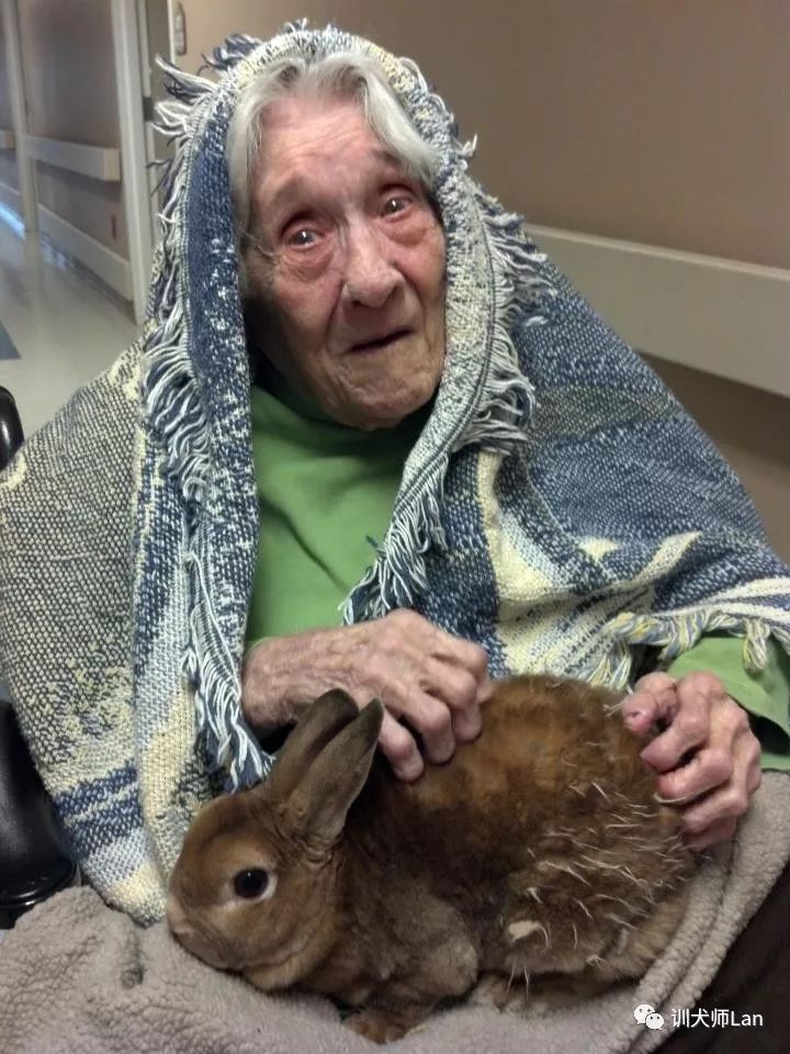 什么是治疗犬？我的狗狗可以做治疗犬去帮助有需要的人吗？